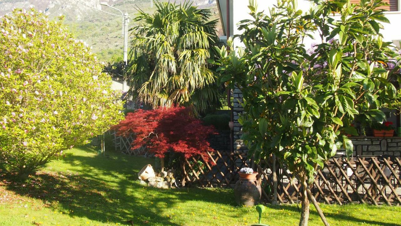 La Casa Dei Nonni Lägenhet Bussoleno Exteriör bild